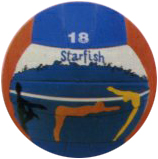 promotional volleyballs