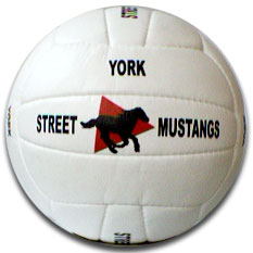 logo volleyball