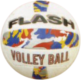 Flash Volley Ball promotional